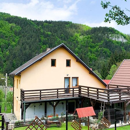 Hilltop House Μπραν Εξωτερικό φωτογραφία